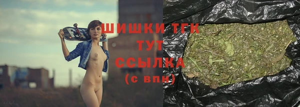 твердый Арсеньев