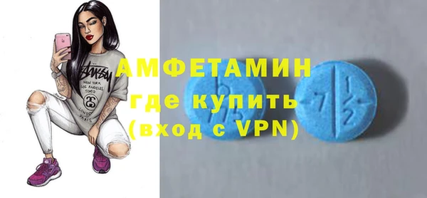 твердый Арсеньев