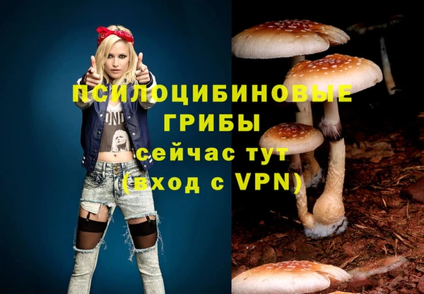 твердый Арсеньев