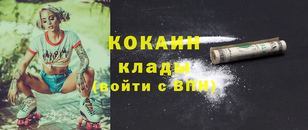твердый Арсеньев